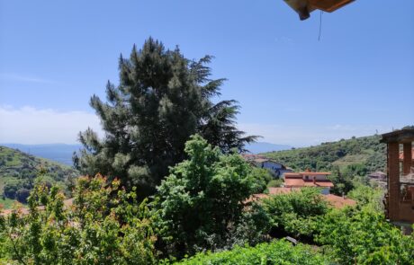 IMG 20210505 112920